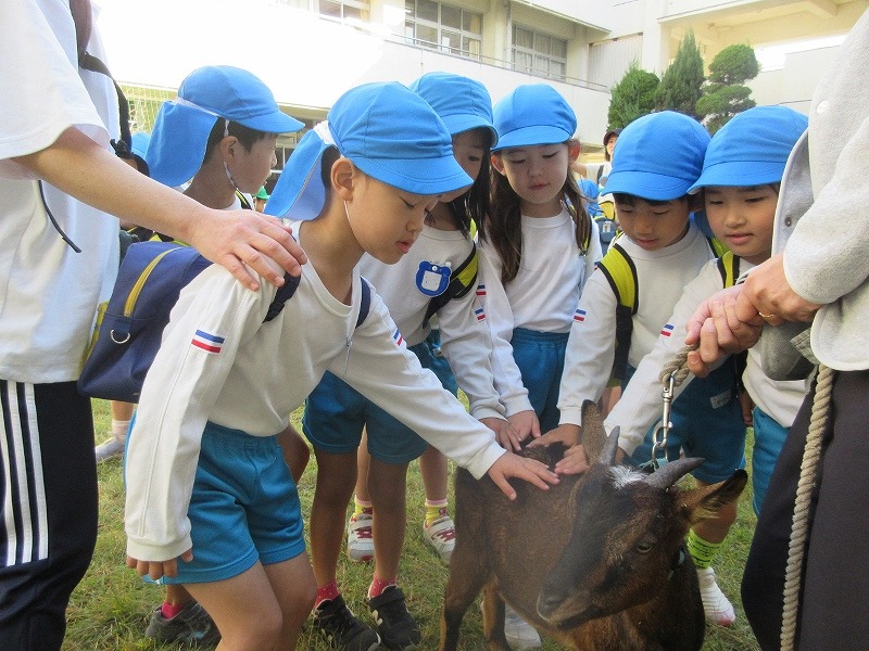 5歳児小学校交流5歳児2