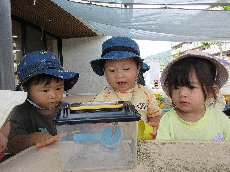 1歳児外遊び