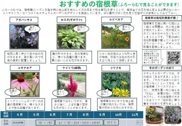 チラシ