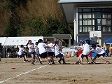 物取り1