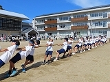 綱引き1