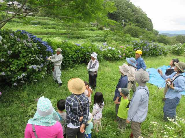 活動写真