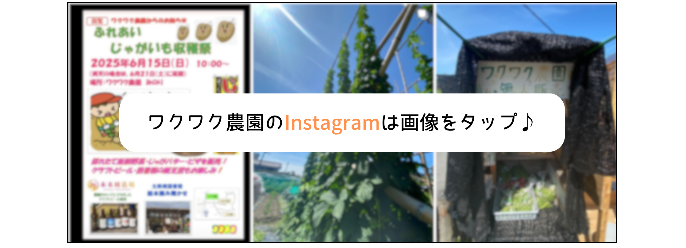 クリックすると「ワクワク農園」のInstagramのページに飛びます。