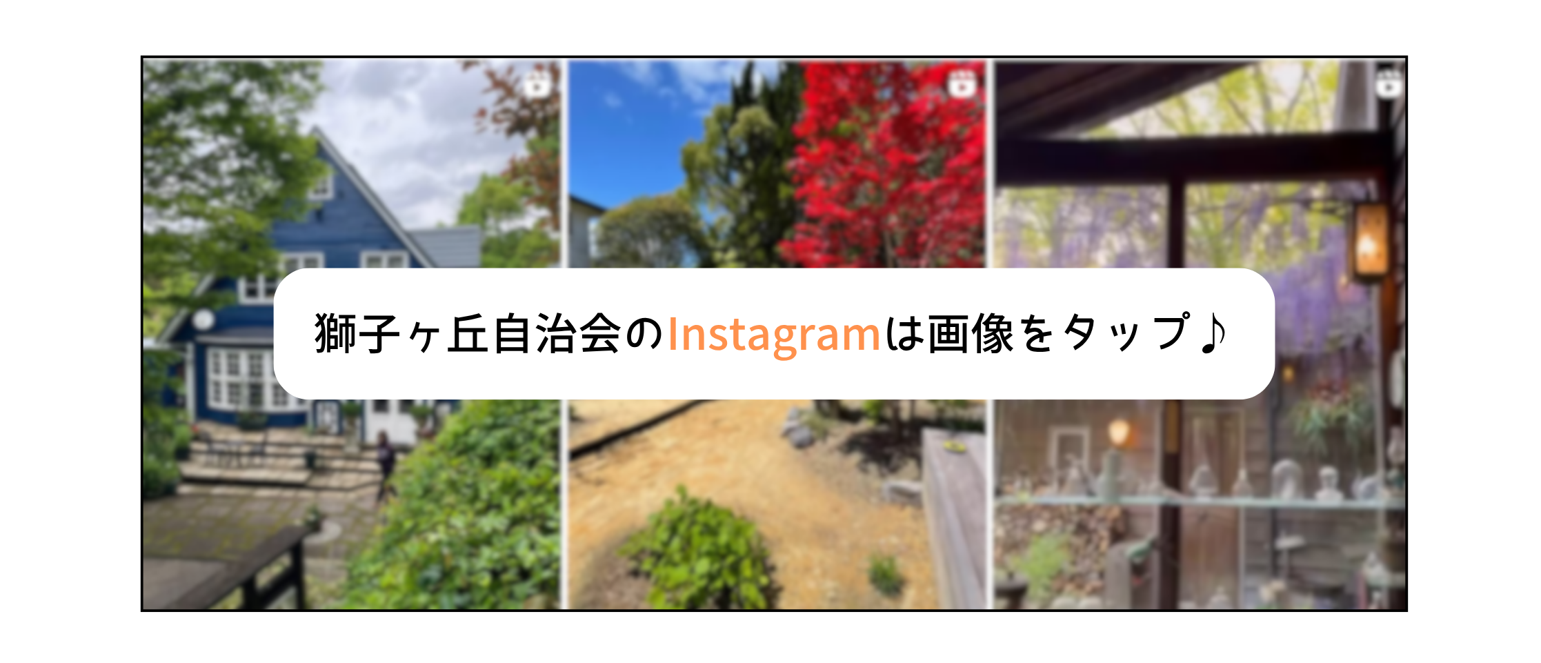 クリックすると「獅子ヶ丘自治会」のInstagramのページに飛びます。