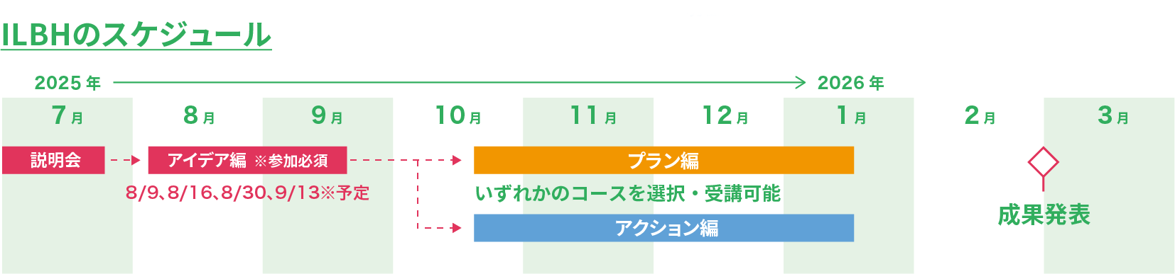 全体スケジュール