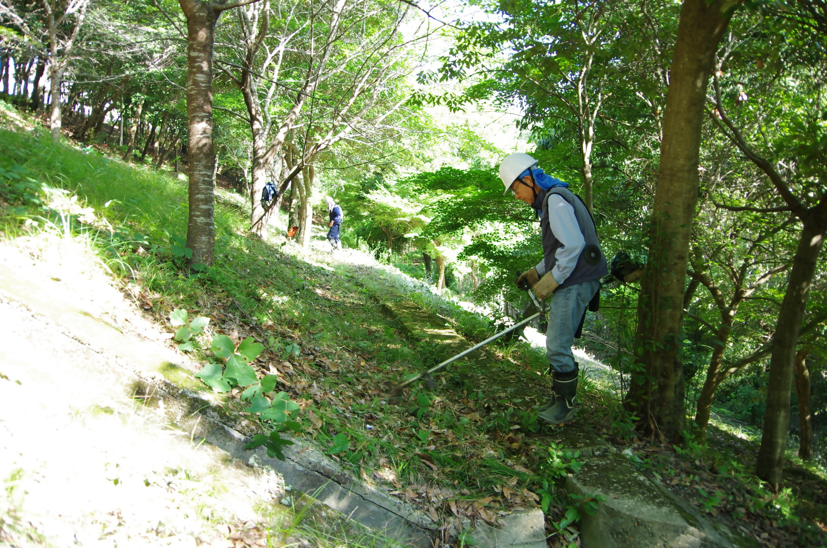 活動写真