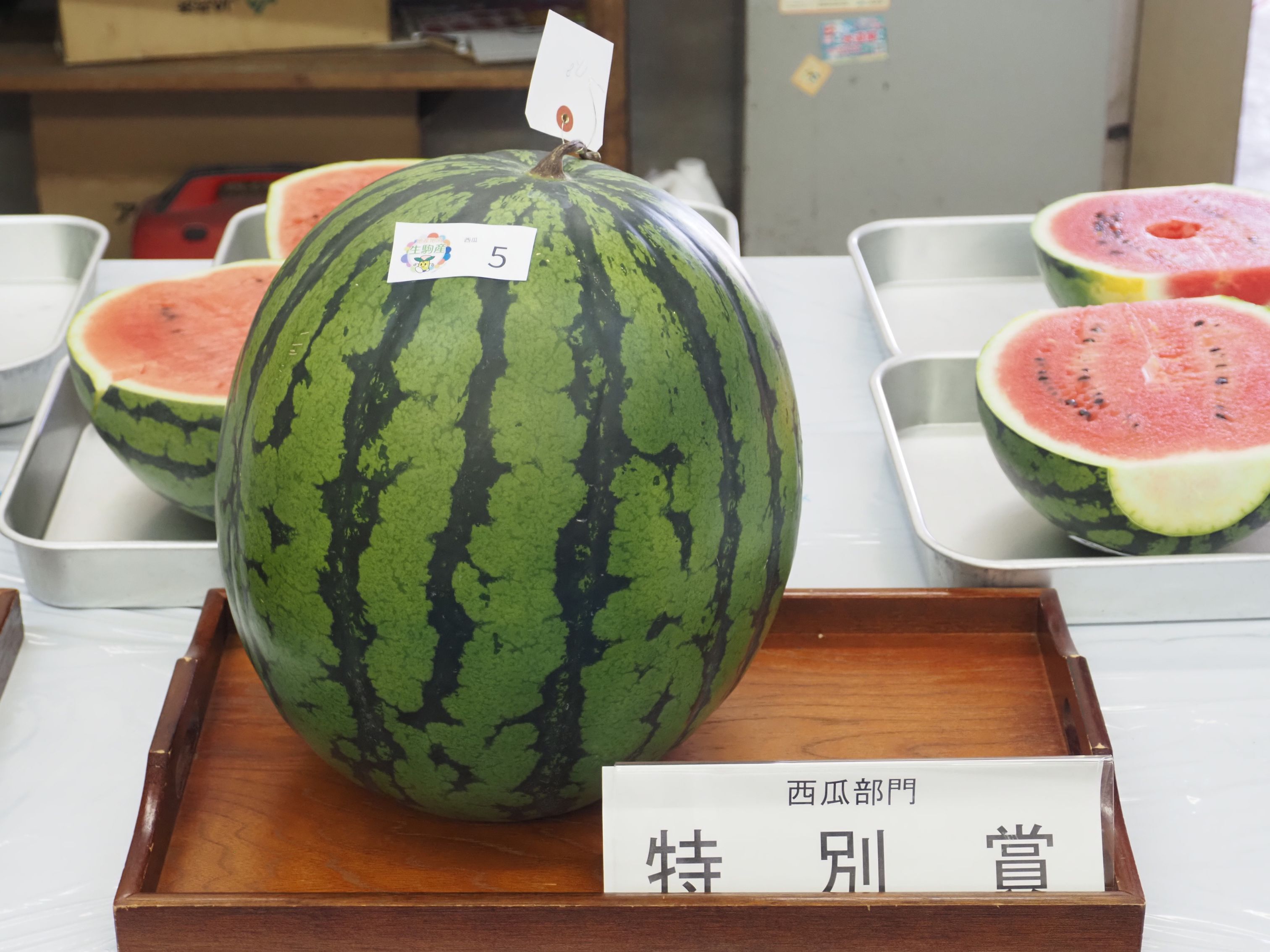 スイカ特別賞