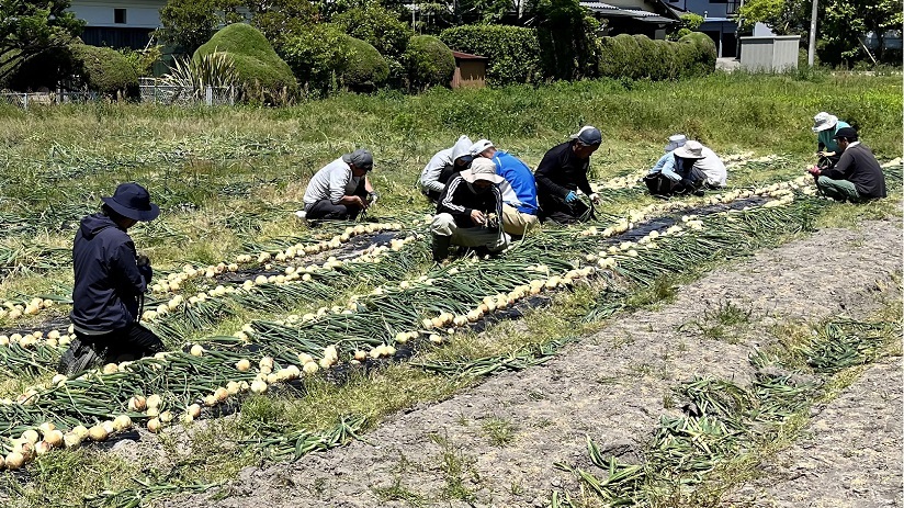 活動写真