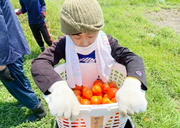 トマト「なつのしゅん」を収穫したメンバーさんの写真