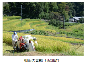 棚田の景観