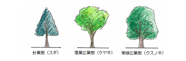 パターンイメージ