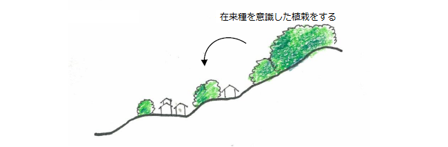 パターンイメージ