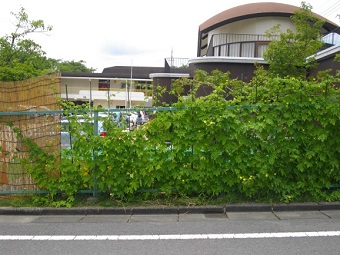 パターンイメージ