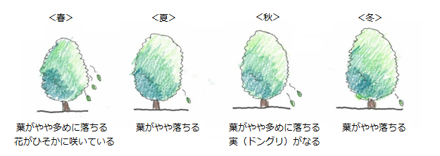 パターンイメージ