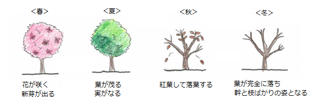 パターンイメージ