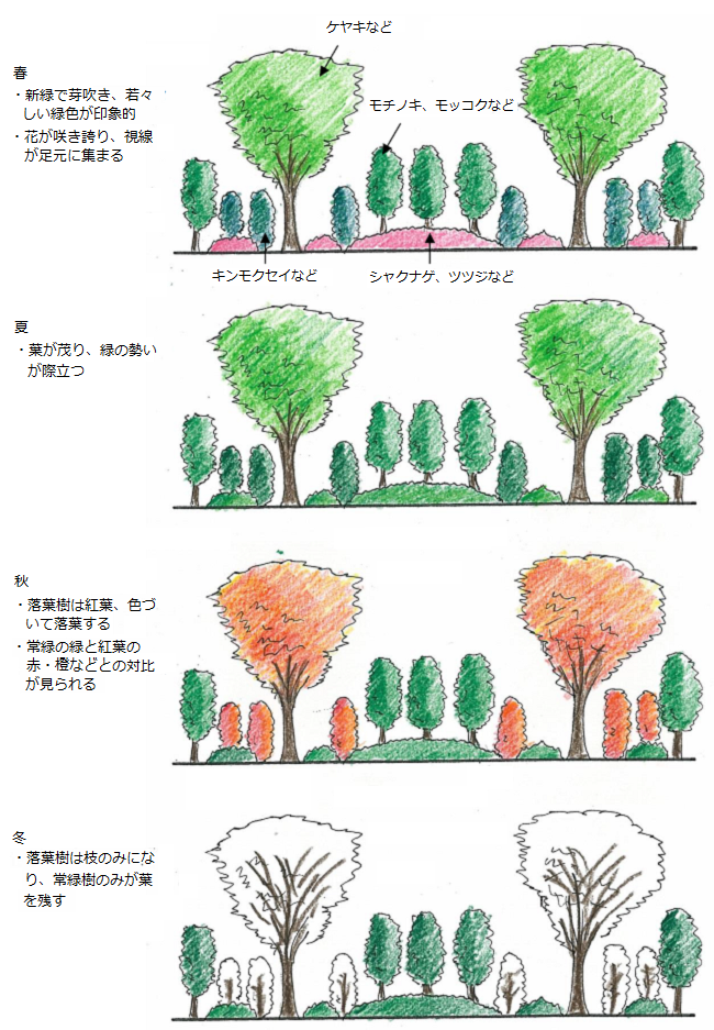 パターンイメージ
