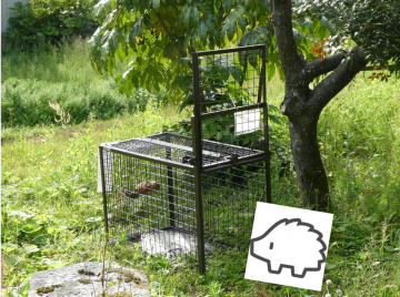鳥獣被害対策
